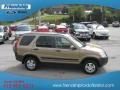 2004 Mojave Mist Metallic Honda CR-V EX 4WD  photo #5