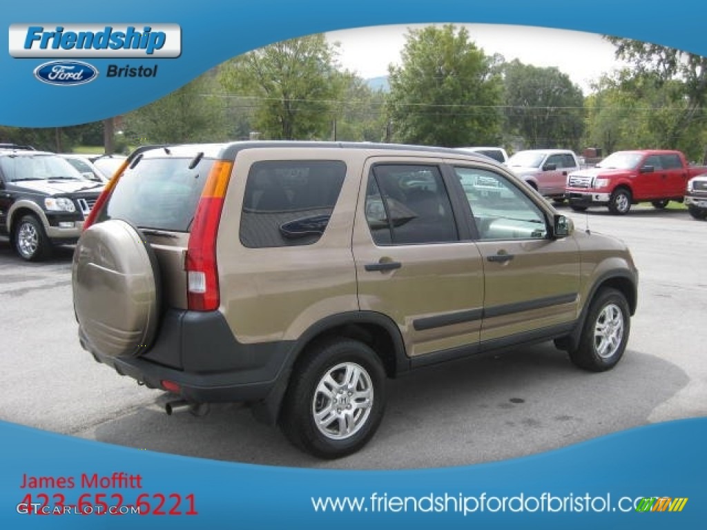 2004 CR-V EX 4WD - Mojave Mist Metallic / Saddle photo #6
