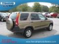 2004 Mojave Mist Metallic Honda CR-V EX 4WD  photo #6
