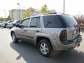 2005 Graystone Metallic Chevrolet TrailBlazer LS 4x4  photo #3