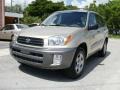 2002 Vintage Gold Metallic Toyota RAV4   photo #1