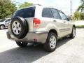 2002 Vintage Gold Metallic Toyota RAV4   photo #3