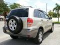 2002 Vintage Gold Metallic Toyota RAV4   photo #6