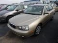 2003 Champagne Beige Hyundai Elantra GLS Sedan  photo #3