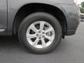 Magnetic Gray Metallic - Highlander  Photo No. 9