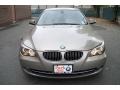 2010 Platinum Bronze Metallic BMW 5 Series 535i xDrive Sedan  photo #8