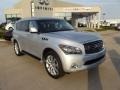 Liquid Platinum - QX 56 Photo No. 2