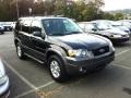 2006 Black Ford Escape XLT V6 4WD  photo #1