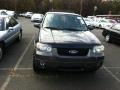 2006 Black Ford Escape XLT V6 4WD  photo #2