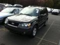 2006 Black Ford Escape XLT V6 4WD  photo #3