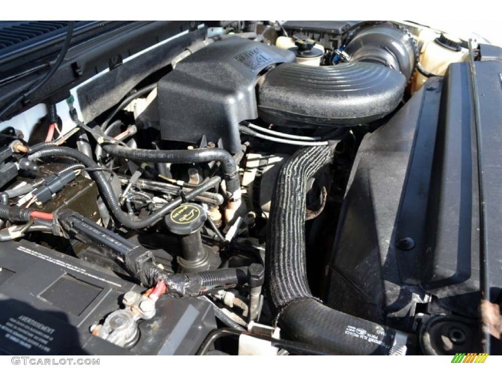 2002 Ford F150 FX4 SuperCrew 4x4 5.4 Liter SOHC 16V Triton V8 Engine Photo #71522012