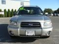 Crystal Gray Metallic - Forester 2.5 XS Photo No. 2