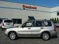 Crystal Gray Metallic - Forester 2.5 XS Photo No. 3