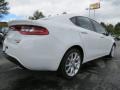 Bright White - Dart Rallye Photo No. 3