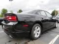 Pitch Black - Charger SE Photo No. 3