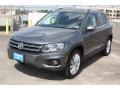 2013 Pepper Gray Metallic Volkswagen Tiguan SE  photo #3