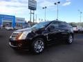 Black Raven - SRX Performance Photo No. 2