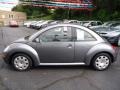 Platinum Grey - New Beetle 2.5 Coupe Photo No. 2