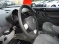 Platinum Grey - New Beetle 2.5 Coupe Photo No. 10