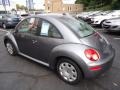 Platinum Grey - New Beetle 2.5 Coupe Photo No. 11