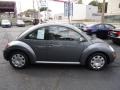 Platinum Grey - New Beetle 2.5 Coupe Photo No. 14