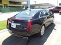 Black Raven - XTS Luxury FWD Photo No. 3