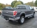 2013 Sterling Gray Metallic Ford F150 XLT SuperCab 4x4  photo #8