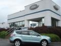 2013 Frosted Glass Metallic Ford Escape SE 2.0L EcoBoost 4WD  photo #1
