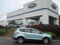 2013 Frosted Glass Metallic Ford Escape SEL 2.0L EcoBoost 4WD  photo #1