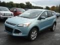 2013 Frosted Glass Metallic Ford Escape SEL 2.0L EcoBoost 4WD  photo #4