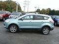  2013 Escape SEL 2.0L EcoBoost 4WD Frosted Glass Metallic