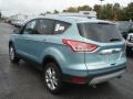 Frosted Glass Metallic 2013 Ford Escape SEL 2.0L EcoBoost 4WD Exterior