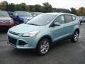 2013 Frosted Glass Metallic Ford Escape SEL 1.6L EcoBoost 4WD  photo #4