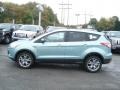2013 Frosted Glass Metallic Ford Escape SEL 1.6L EcoBoost 4WD  photo #5