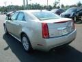 Silver Coast Metallic - CTS 3.0 Sedan Photo No. 5