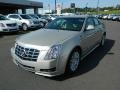 2013 Silver Coast Metallic Cadillac CTS 3.0 Sedan  photo #7