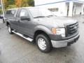 2010 Sterling Grey Metallic Ford F150 XL Regular Cab 4x4  photo #2