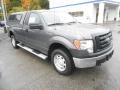 Sterling Grey Metallic - F150 XL Regular Cab 4x4 Photo No. 2