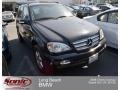Black - ML 350 4Matic Photo No. 1