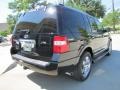 2007 Black Ford Expedition Limited  photo #10
