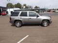 Graystone Metallic - TrailBlazer LS 4x4 Photo No. 6