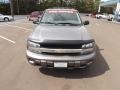 Graystone Metallic - TrailBlazer LS 4x4 Photo No. 8