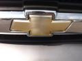 Graystone Metallic - TrailBlazer LS 4x4 Photo No. 24