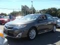 Magnetic Gray Metallic - Camry XLE Photo No. 3