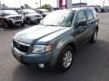 2010 Steel Blue Mazda Tribute i Touring  photo #3