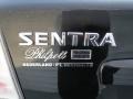Super Black - Sentra 2.0 S Photo No. 18