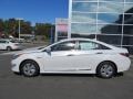 Porcelain White Pearl - Sonata Hybrid Photo No. 2