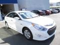 Porcelain White Pearl - Sonata Hybrid Photo No. 3
