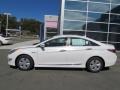 Porcelain White Pearl - Sonata Hybrid Photo No. 2