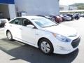 Porcelain White Pearl - Sonata Hybrid Photo No. 3